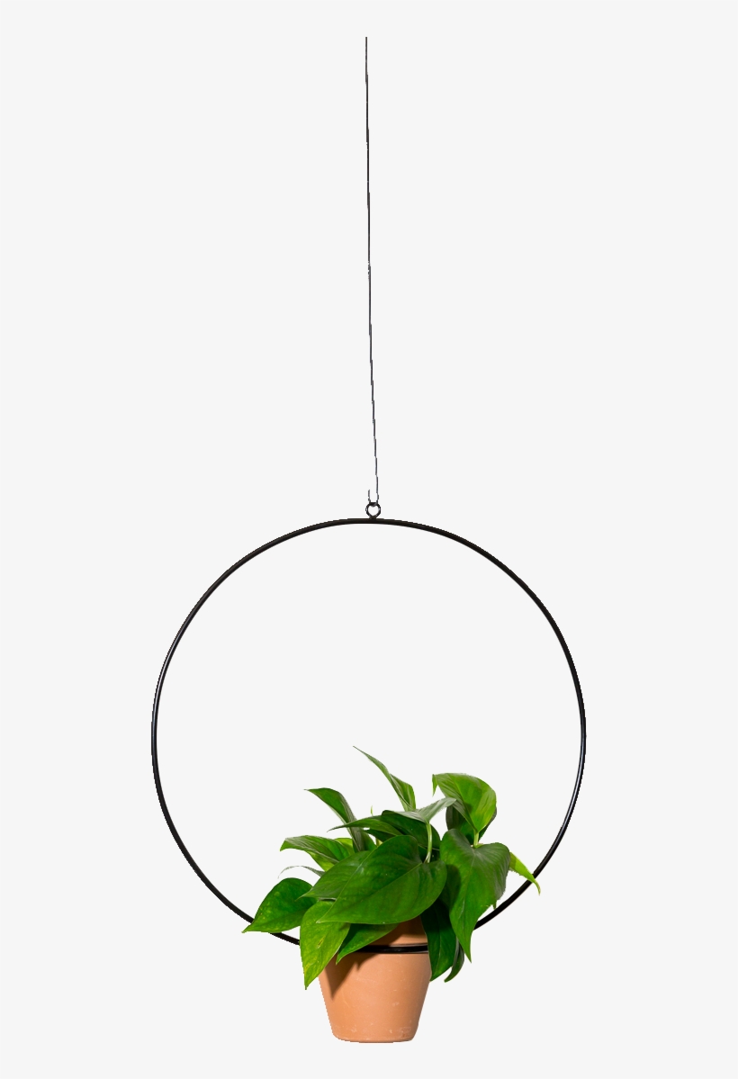 Hanging Circle Planter 18", transparent png #9648242