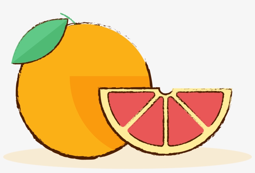Grapefruit Gourmet Fruit Hand Drawn Png And Vector, transparent png #9648433
