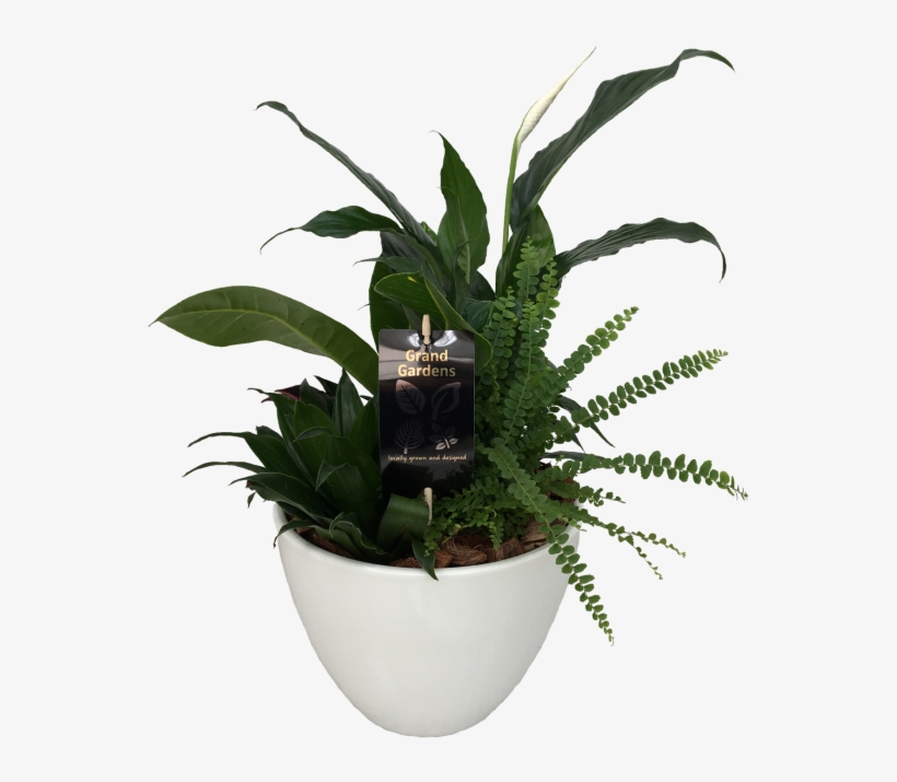 The Peace Lily Planter - Flowerpot, transparent png #9648819