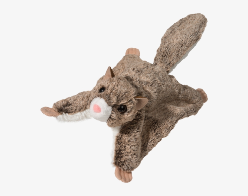 Douglas Jumper Flying Squirrel - Flying Squirrel Stuffed Animal, transparent png #9649707