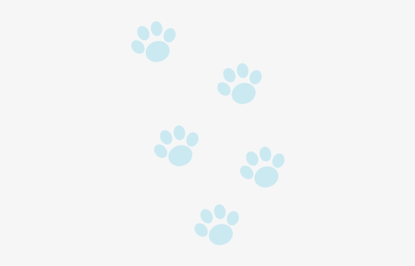 Pooch-footprints, transparent png #9649786