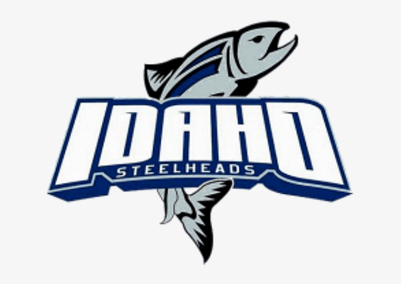 Cobweb - Idaho Steelheads Logo Png, transparent png #9649857