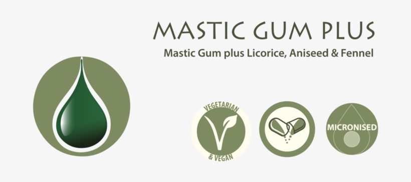 Mastic Gumv1-01 - Graphic Design, transparent png #9650186