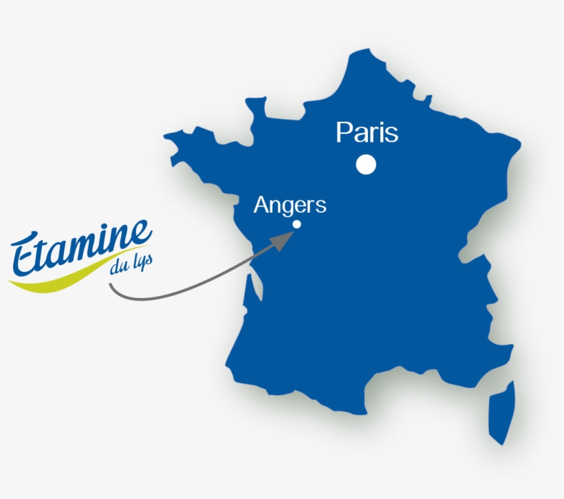 Vector France Map Png, transparent png #9650818