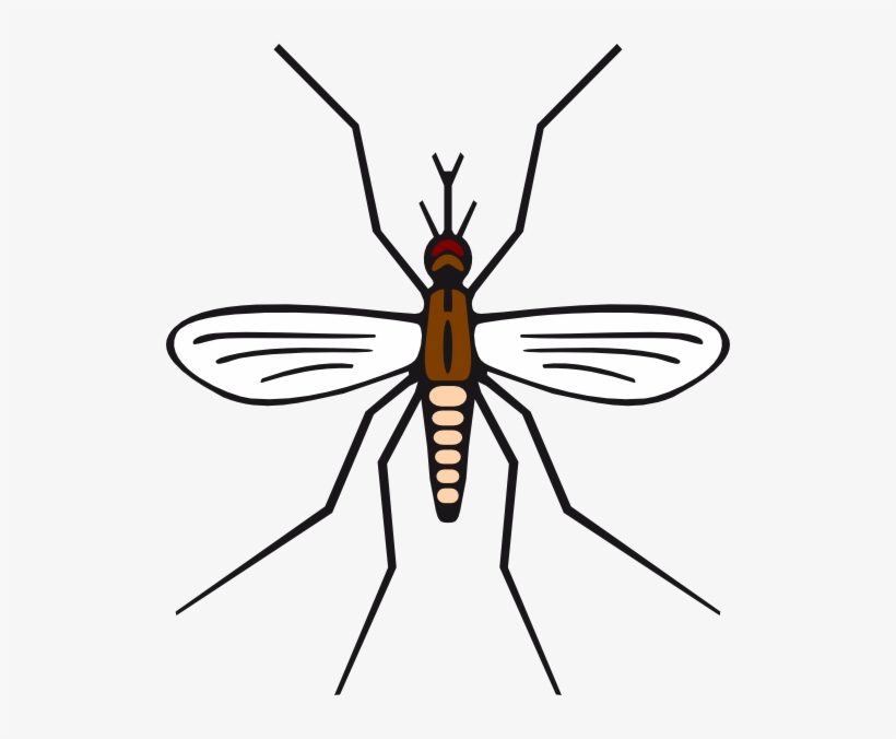 Clip Art Transparent Stock In Brown Color Clip Art - Simple Easy Mosquito Drawing, transparent png #9651334