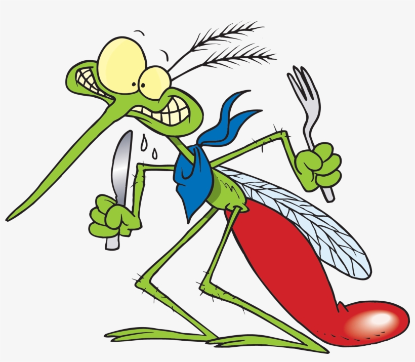 2567 X 1649 1 - Funny Pics Of Mosquitoes, transparent png #9651413