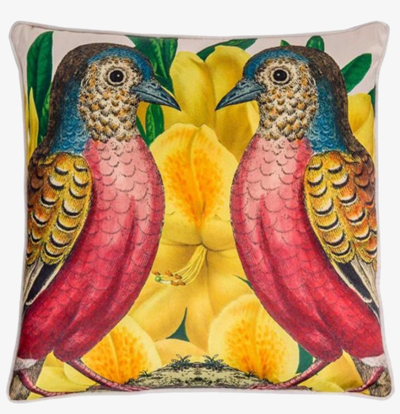 Cushion, transparent png #9652235