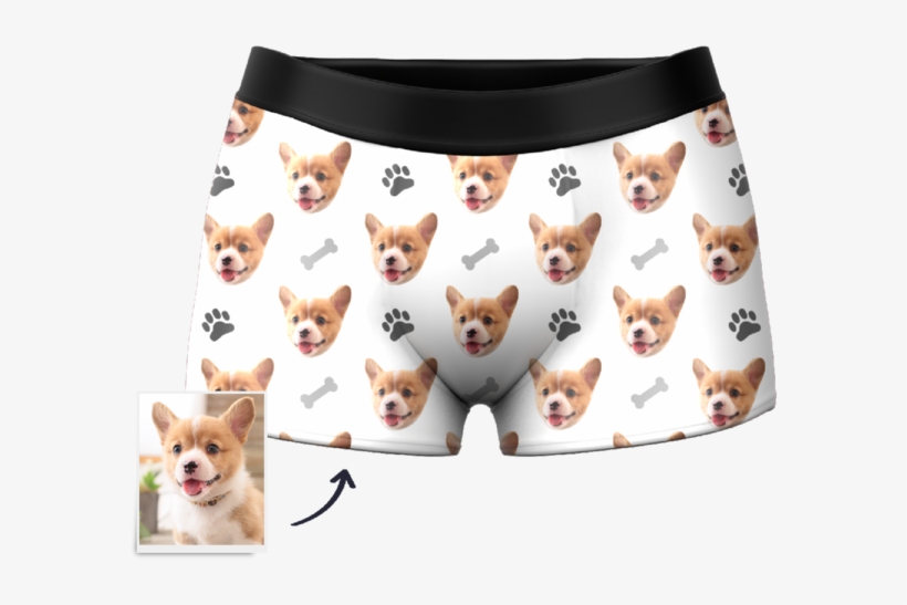 Custom Dog Boxer Shorts - Pembroke Welsh Corgi, transparent png #9652986