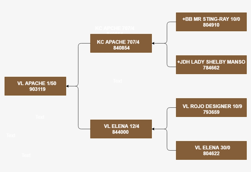 Awards - Diagram, transparent png #9654237
