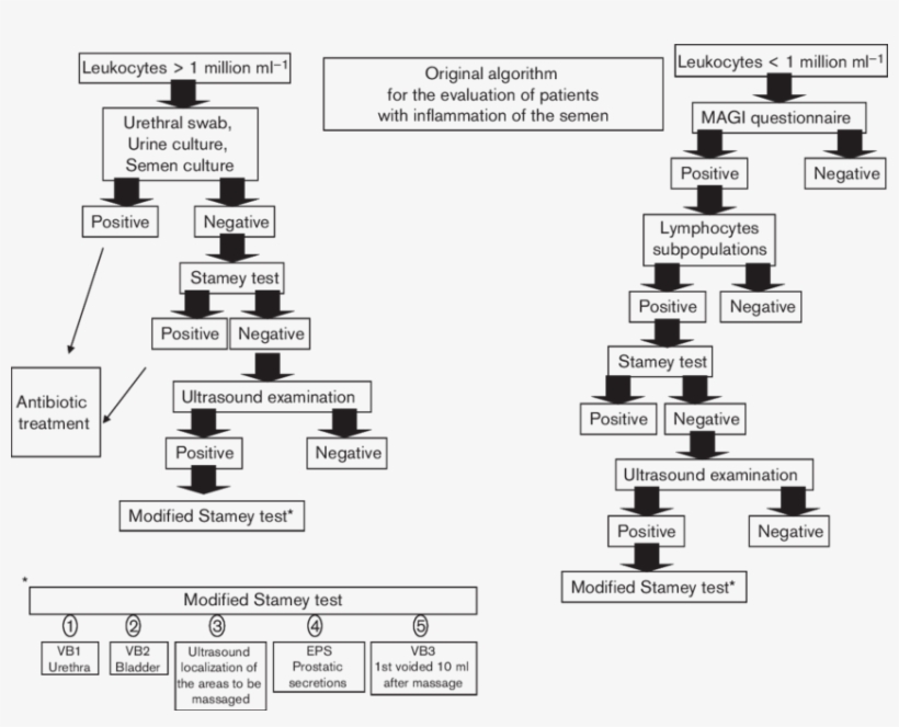 Original Algorithm For The Evaluation Of Patients With - Diagram, transparent png #9654985