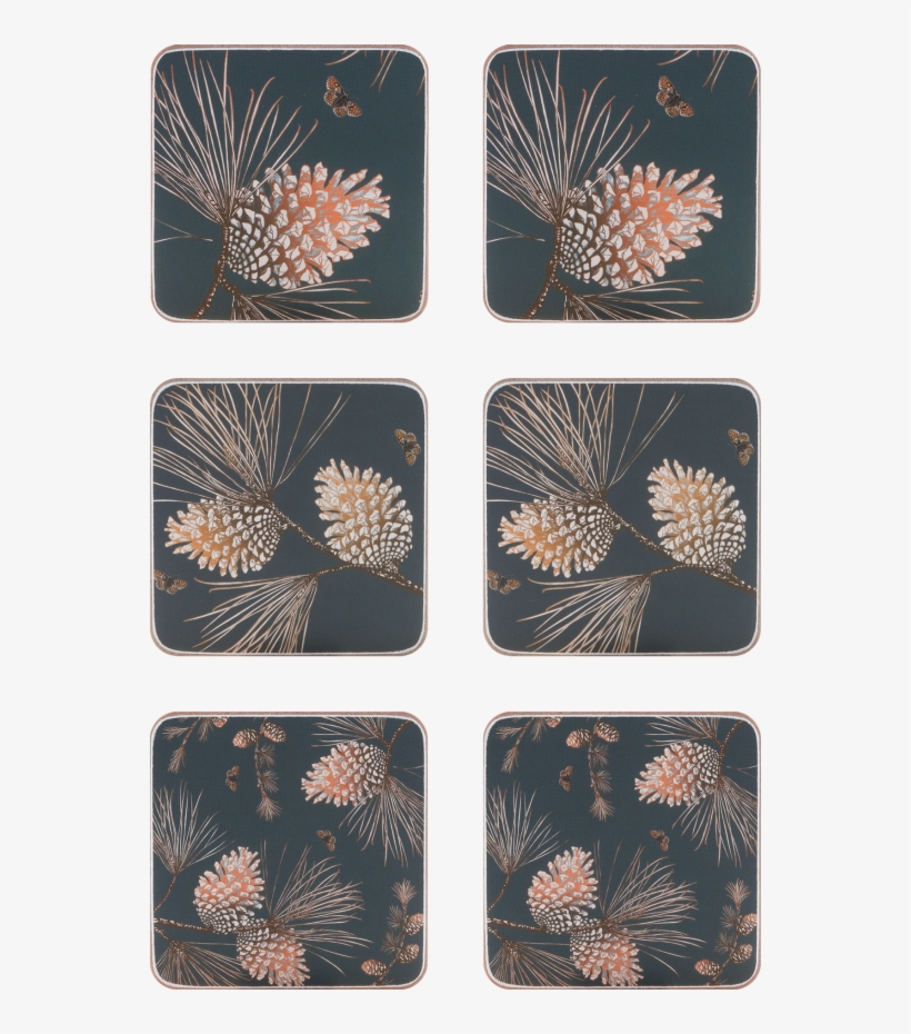 Pine Cone Thunder Coaster 10cm 6pcs/box - Motif, transparent png #9657663