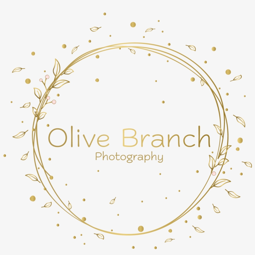 Circle, transparent png #9659843