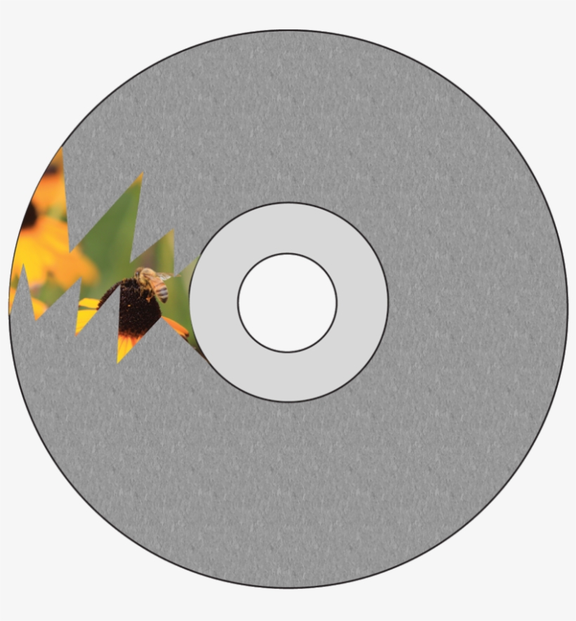 Movie Vs - Reality - Dvd Disc, transparent png #9659916