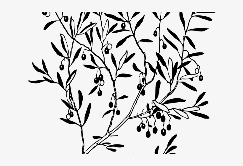 Reef Clipart Olive Branch - Navy Olive Branch Clip Art, transparent png #9659918