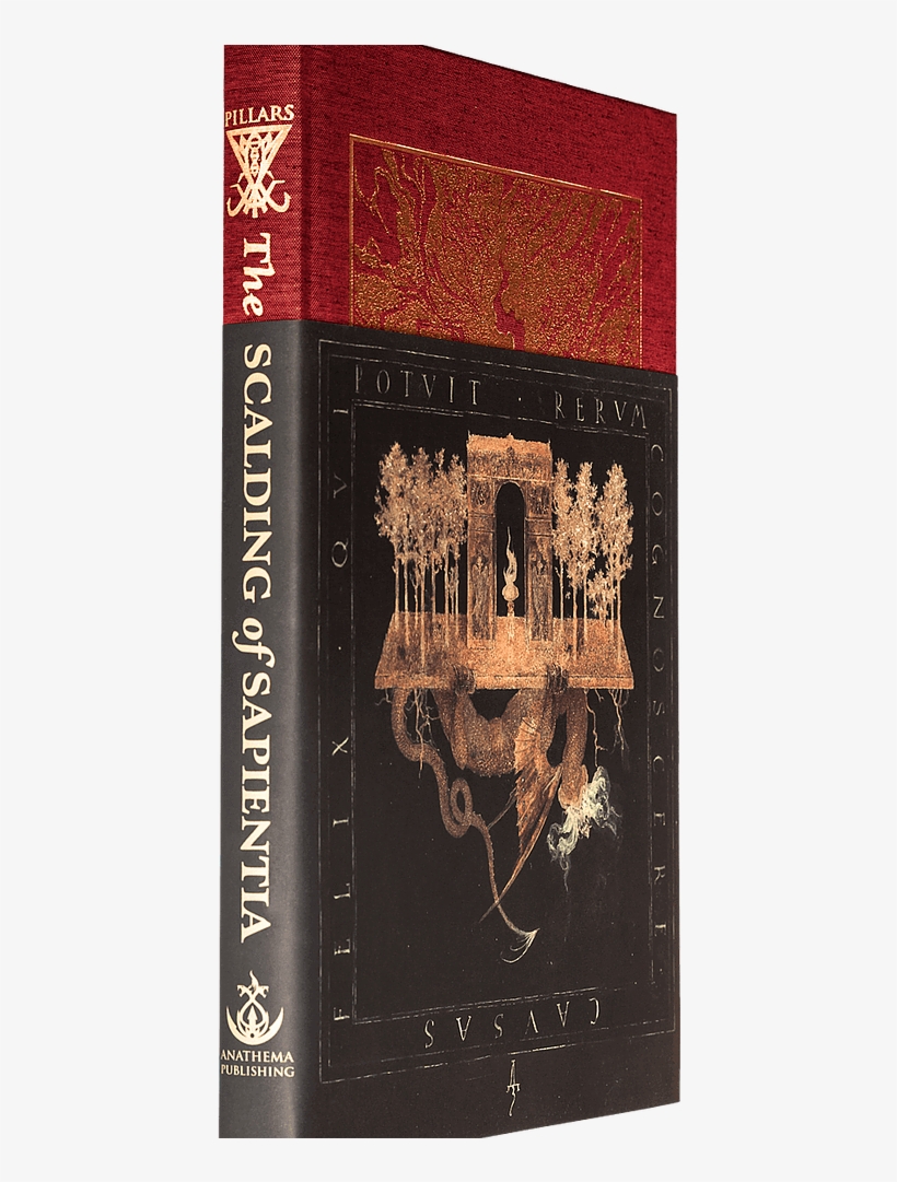 The Scalding Of Sapientia - Book Cover, transparent png #9660285