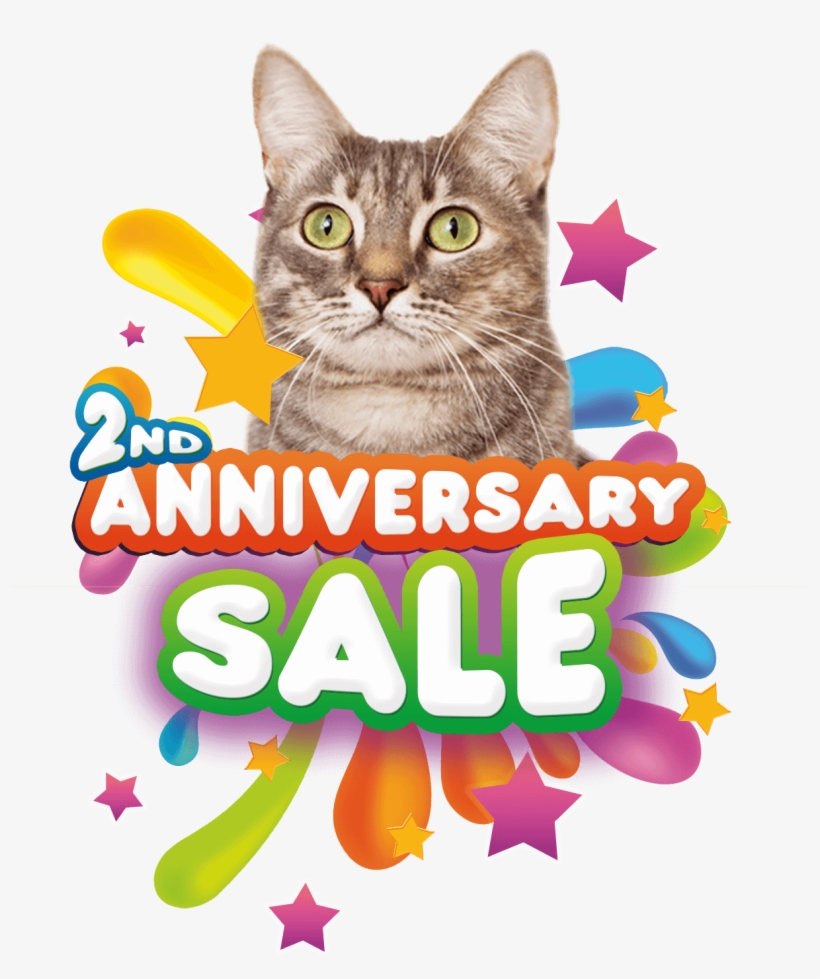 Enjoy 10% Off For Cat Hotel & Grooming Service - Kids Events, transparent png #9660846
