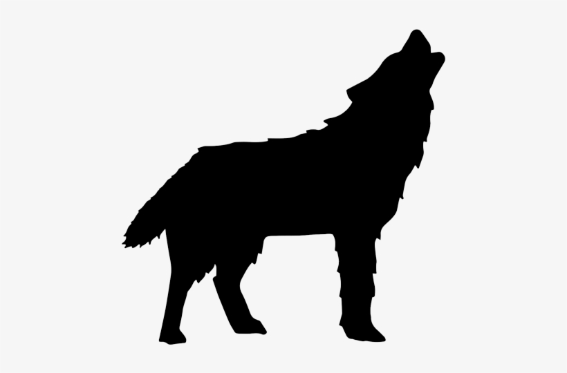 Wolf - Alpaca Black And White Png, transparent png #9662403