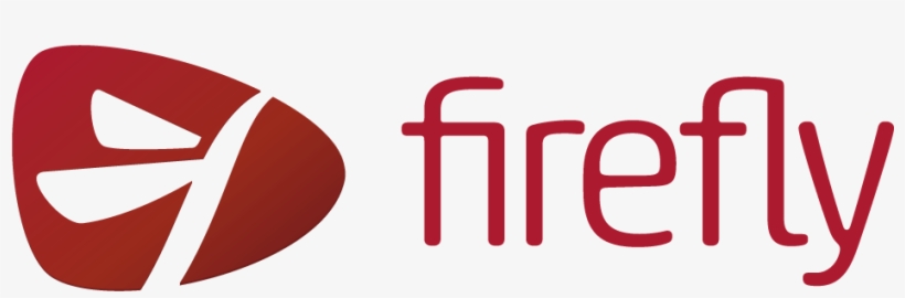 Firefly It Solutions Pictures - Firefly Learning, transparent png #9663208