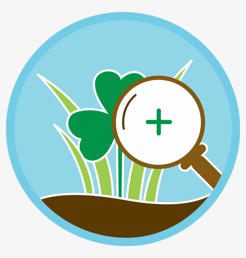 Profile Provides On-site Consultation To Assure The, transparent png #9665944