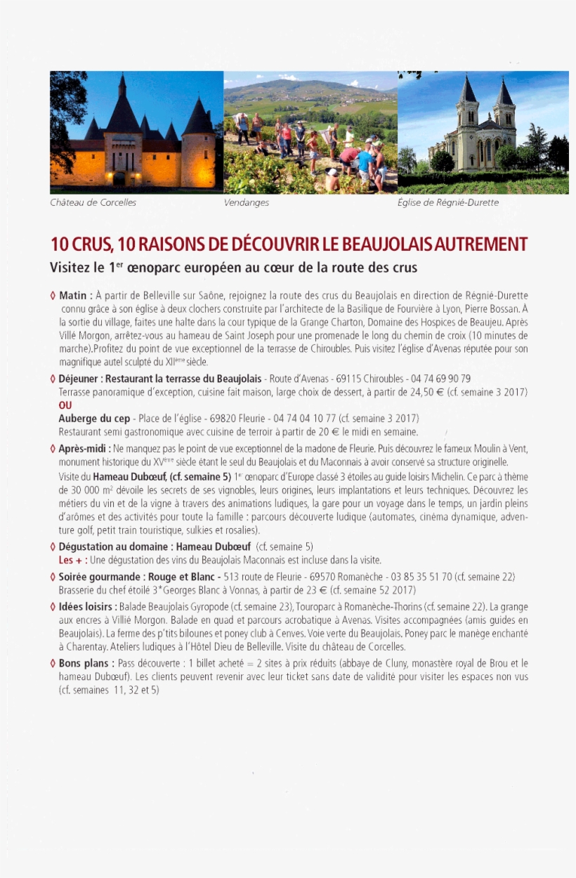 Beaujolais Jour 4 - Tourist Attraction, transparent png #9666611