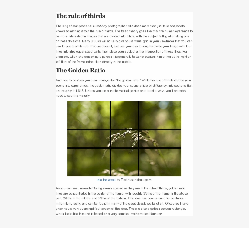 Docx - Tree, transparent png #9668301