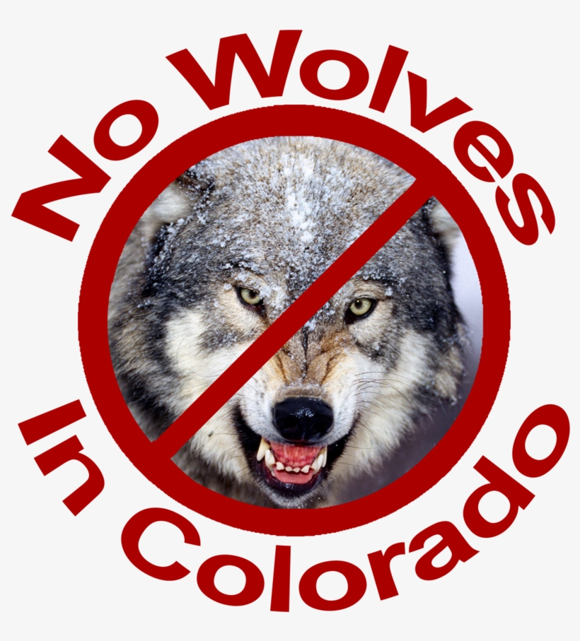 No Wolves In Colorado Red Lettering - Gray Wolf, transparent png #9669088