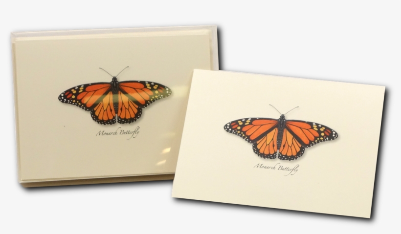 Shopping Cart -  -  - Monarch Butterfly, transparent png #9669414