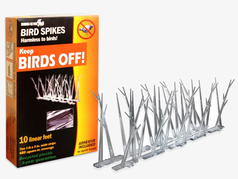 Loading Zoom - Bird Prevention Home, transparent png #9670459