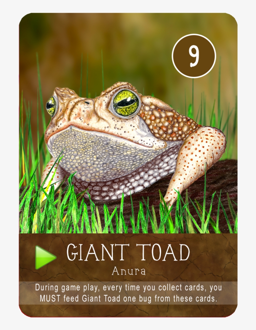 Bufo, transparent png #9670964