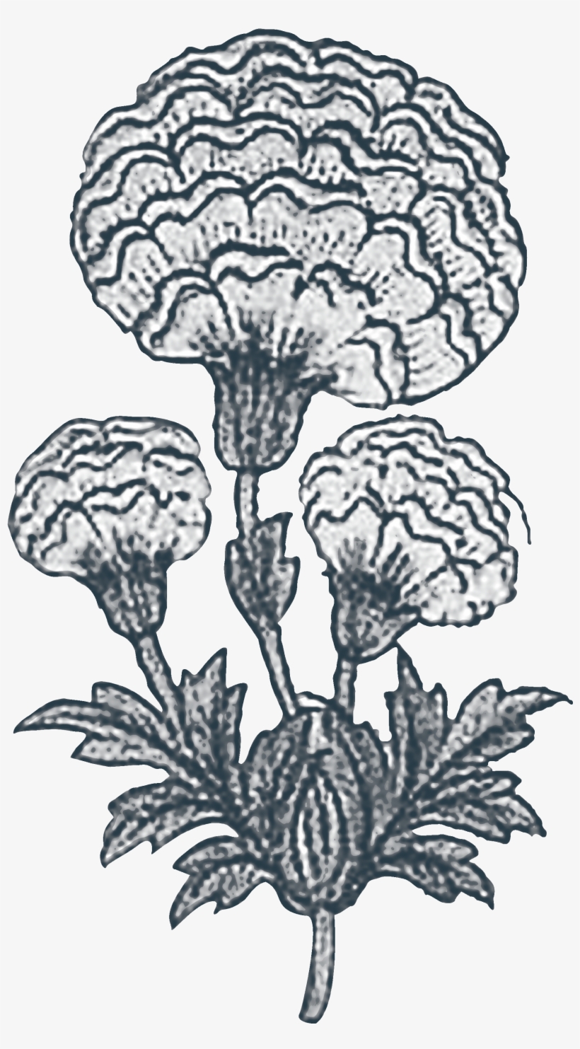 Our Story - Sketch, transparent png #9671408