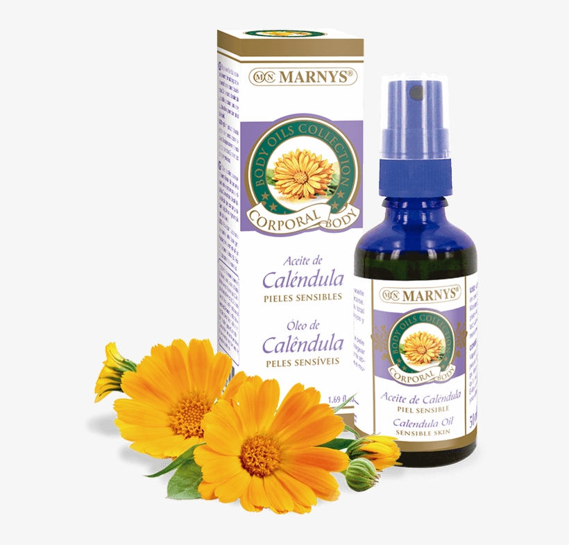 Ap213 - Calendula Oil - Aceite De Calendula, transparent png #9671675