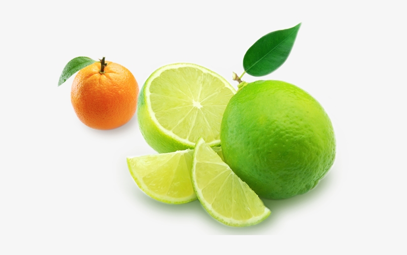 Dubai Web Design Services - Persian Lime, transparent png #9672311