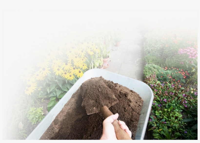 Istock-911970388 - Field, transparent png #9672358