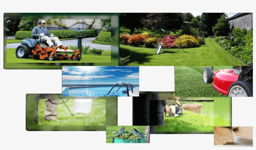 Professional Lawn And Garden Care Provider Brisbane - Yard Maintenance, transparent png #9672493