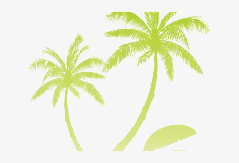 Sunset Clipart Coconut Tree - Attalea Speciosa, transparent png #9673763
