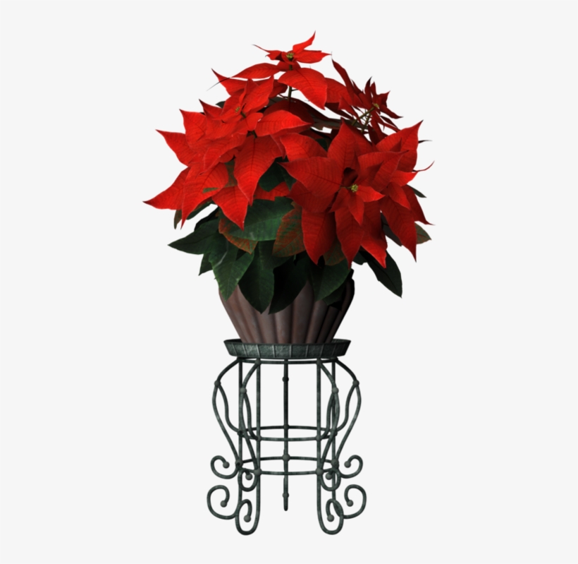 Flower Stand Png - Poinsettia, transparent png #9674390