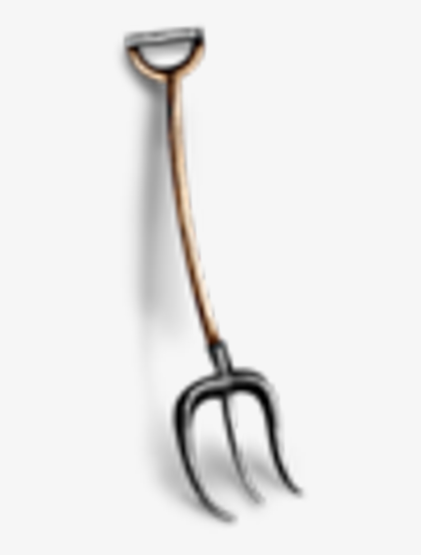 Report Abuse - Earrings, transparent png #9676374