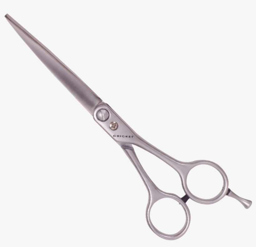 Categories - Scissors, transparent png #9676604