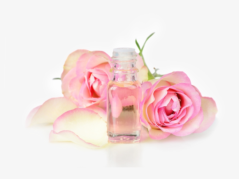Rose Oil, transparent png #9676898