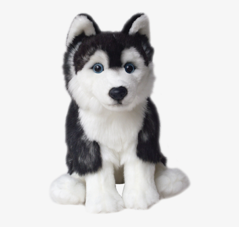 Sailor Ted Siberian Up - Sakhalin Husky, transparent png #9677747