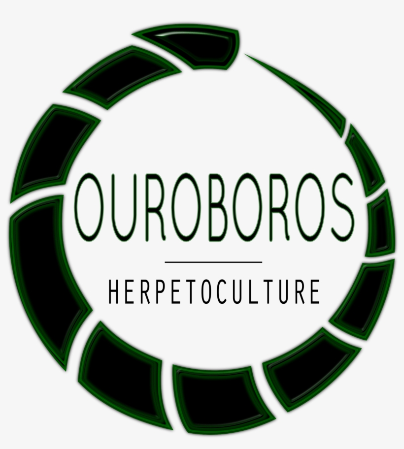 Ouroboros Png, transparent png #9678119