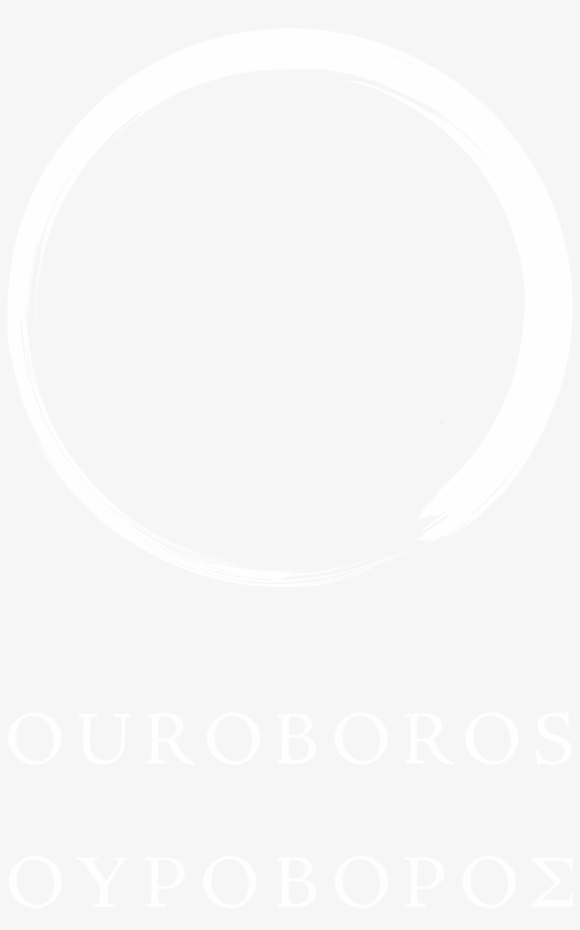 Png Format Twitter Logo White, transparent png #9679166