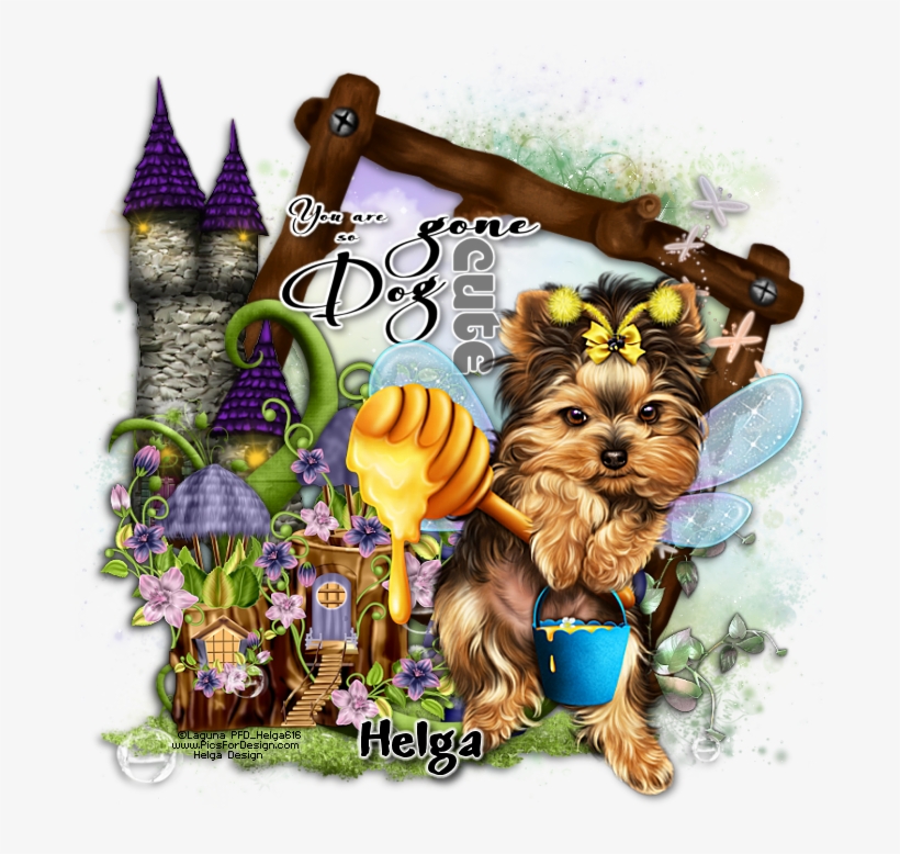 Yorkshire Terrier, transparent png #9679780