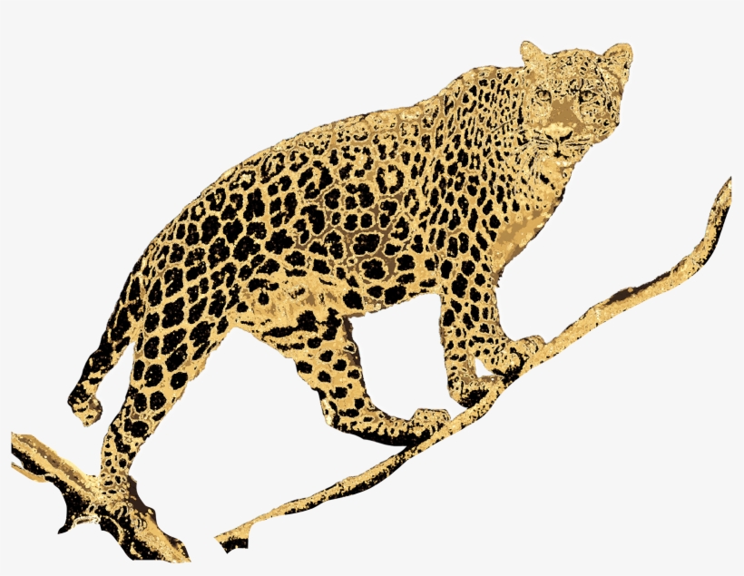 3000 X 3000 4 - African Leopard, transparent png #9680177
