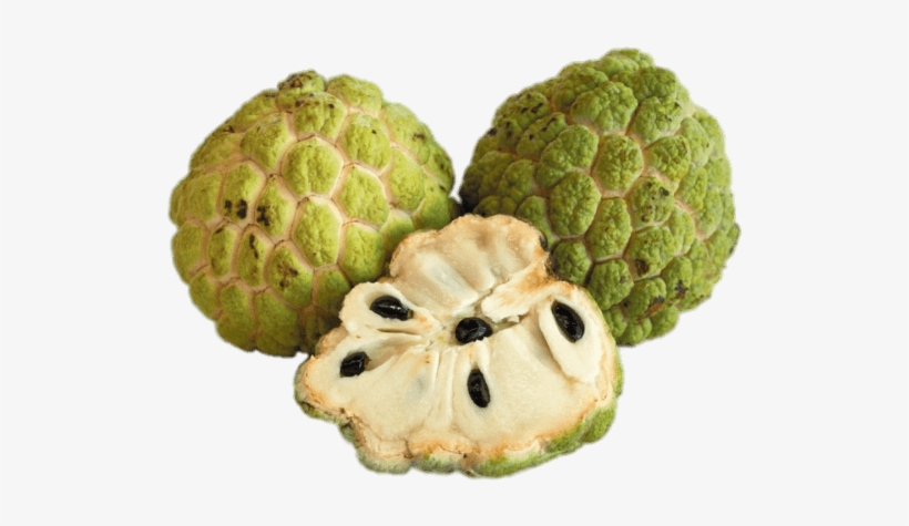 Download - Custard Apple, transparent png #9680969