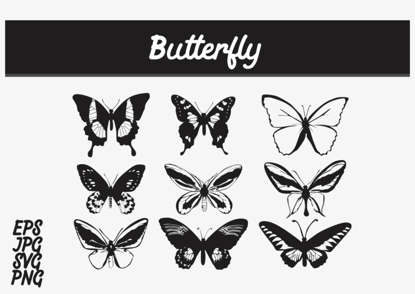 Butterfly Silhouette Set Svg Vector Image Bundle Graphic Papilio Free Transparent Png Download Pngkey