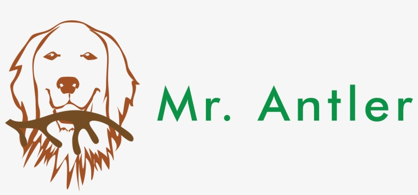 Mr - Antler - Graphic Design, transparent png #9682511