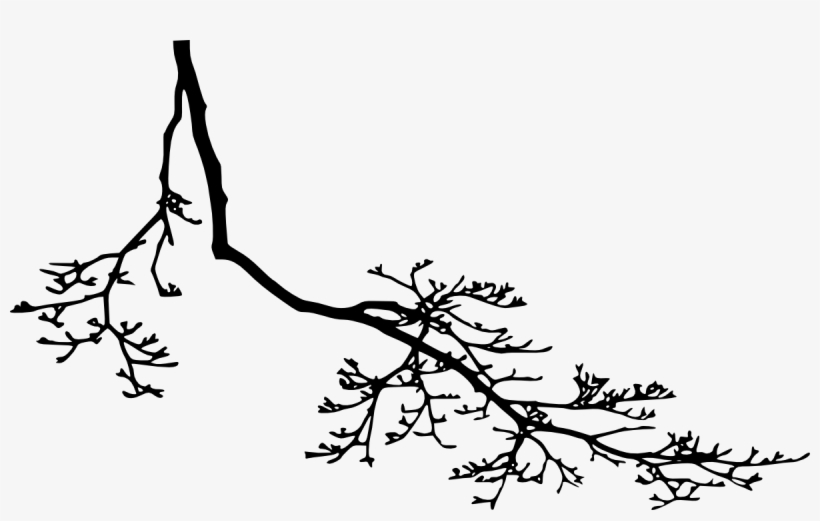 12 Tree Branch Silhouette Png Transparent Vol - Ranting Png, transparent png #9682705