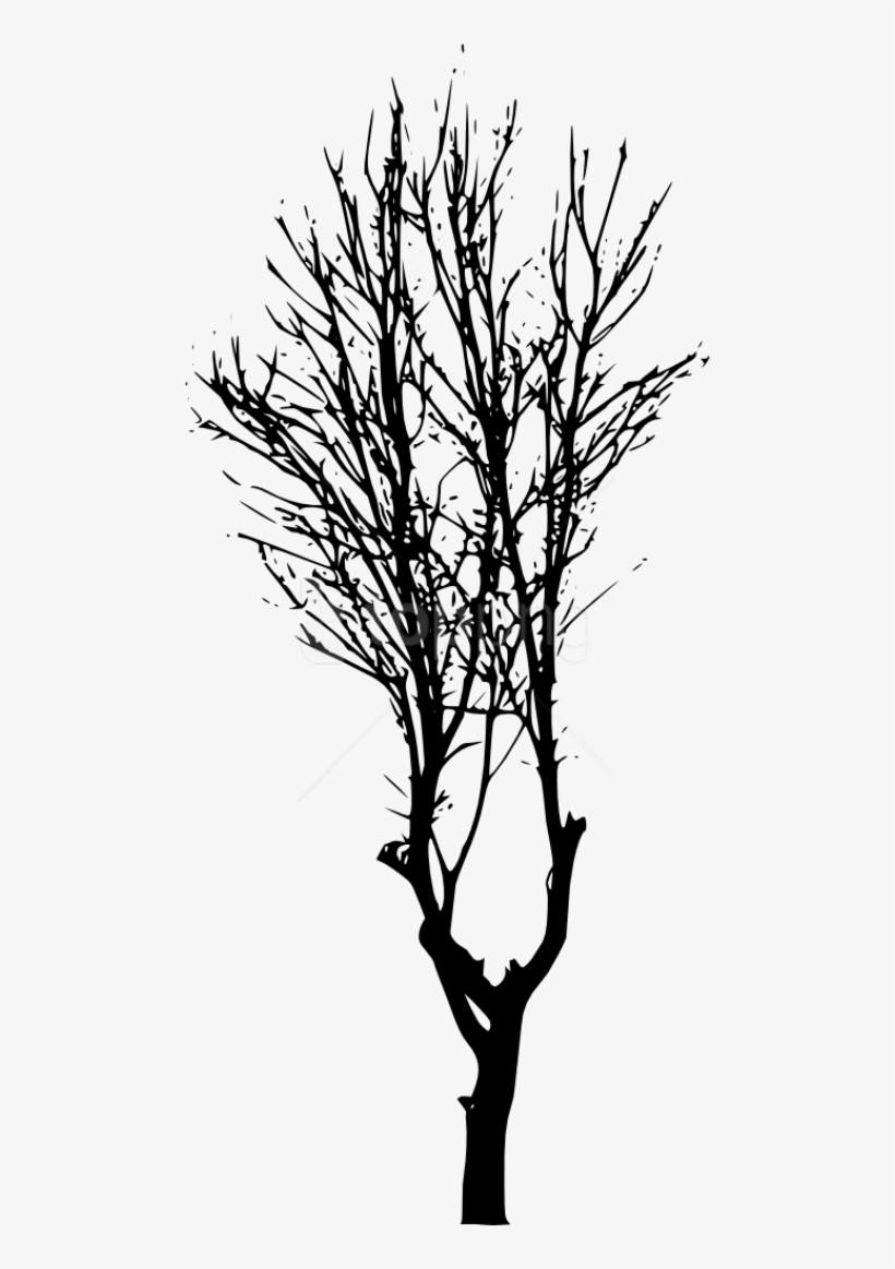 Free Png Tree Silhouette Png - Silhouette, transparent png #9683093