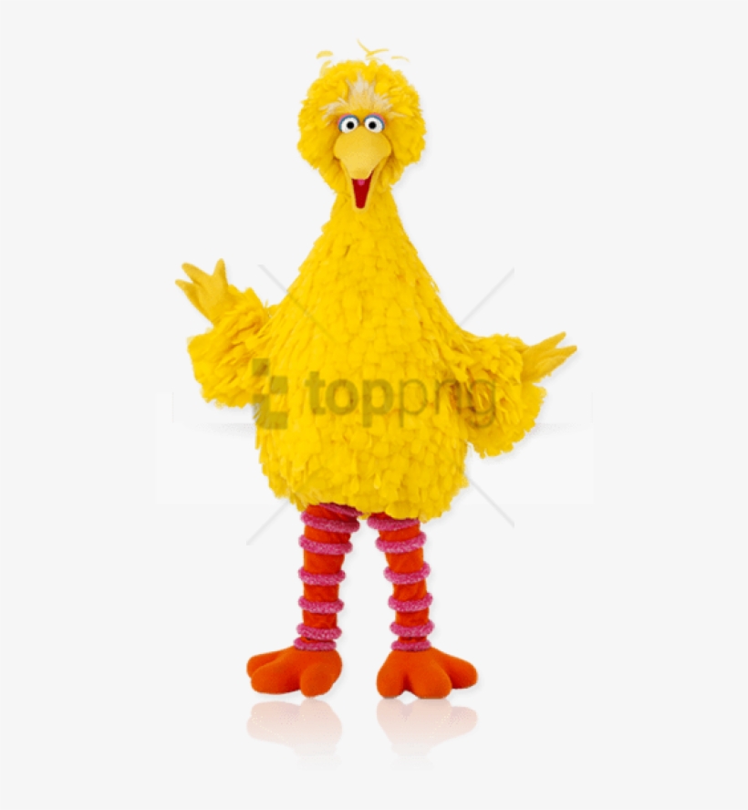 Free Png Download Big Bird High Resolution Png Images - Sesame Street Characters Big Bird, transparent png #9684186